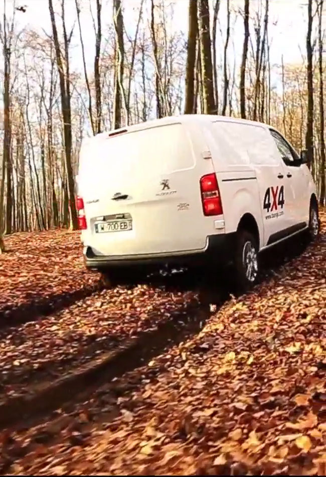 voiture télécommandée tout terrain 4x4
